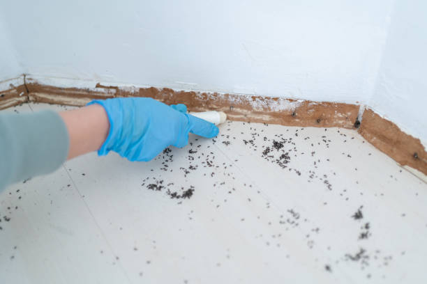 Best Pest Exclusion Services  in Umatilla, OR